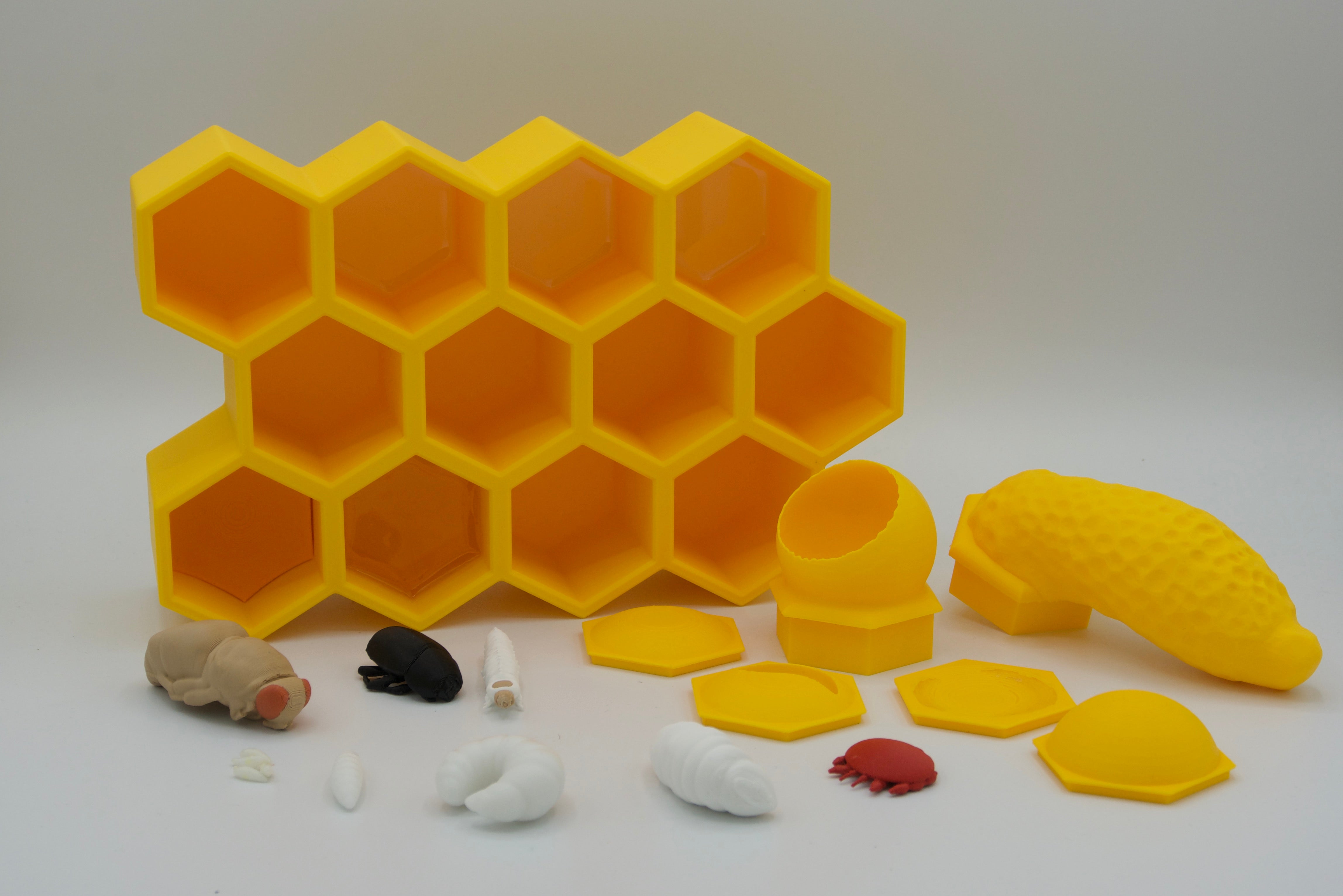 BuzzBox - Beehive educational model