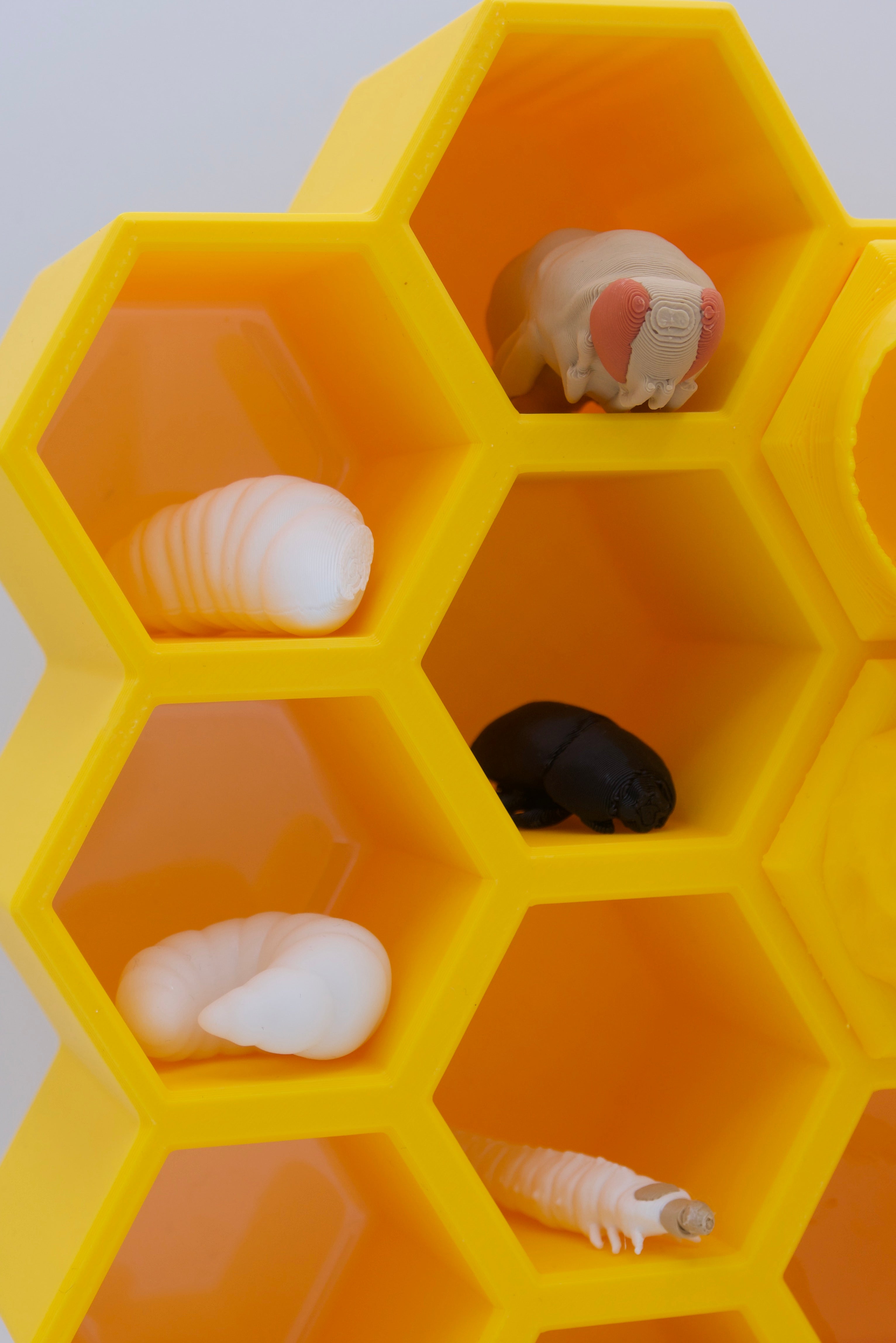 BuzzBox - Beehive educational model