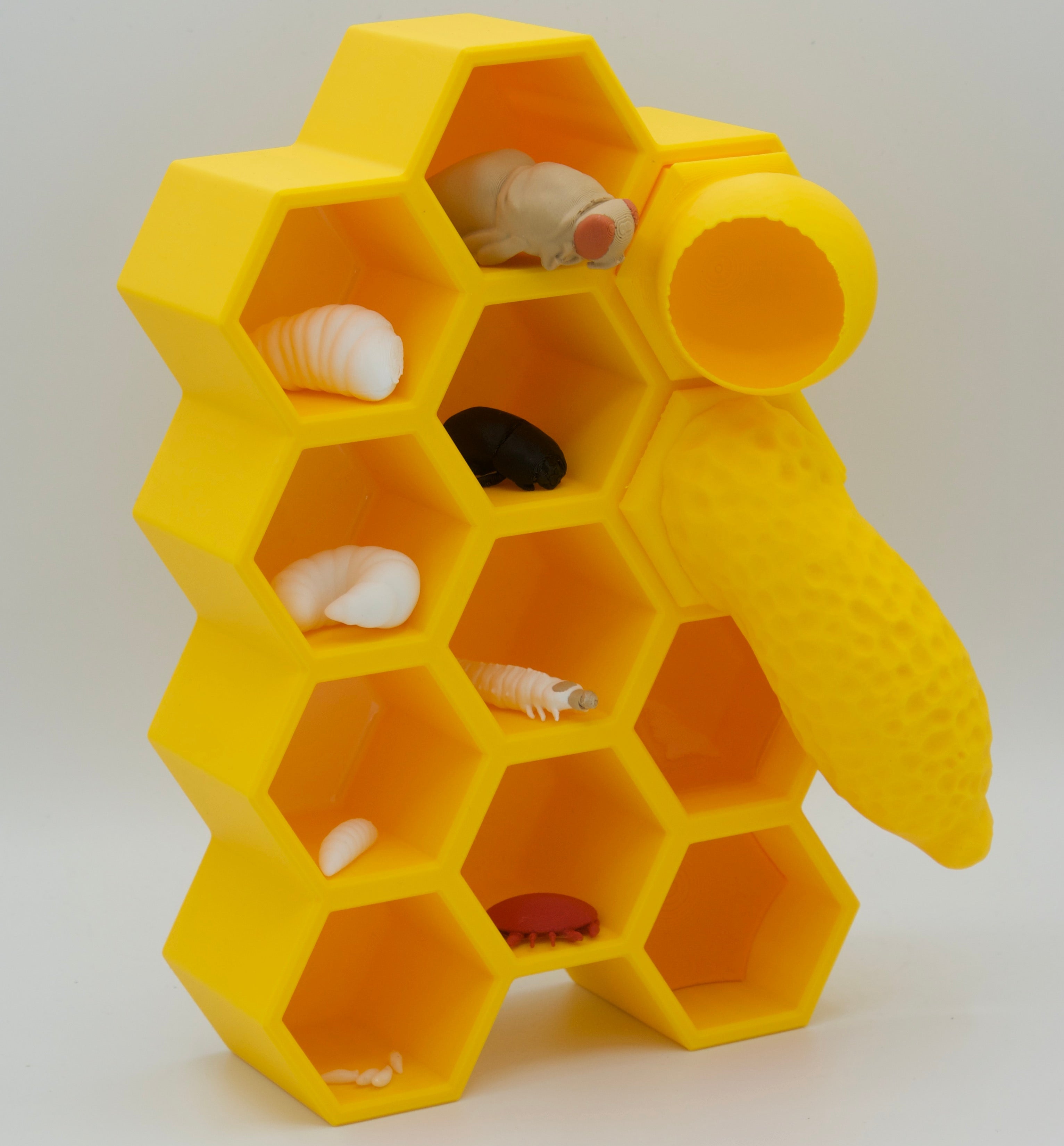 BuzzBox - Beehive educational model